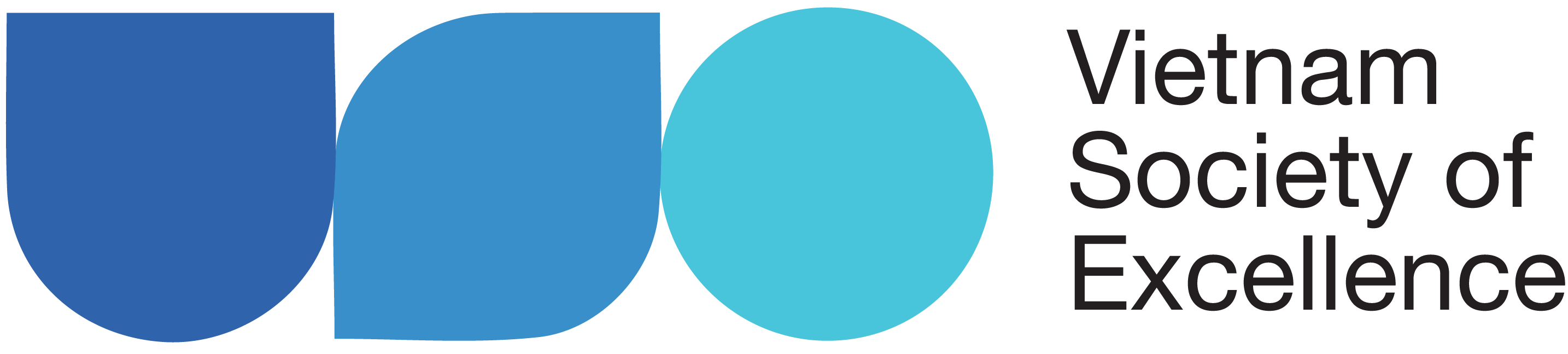 Logo Vietnam Society of Excellence