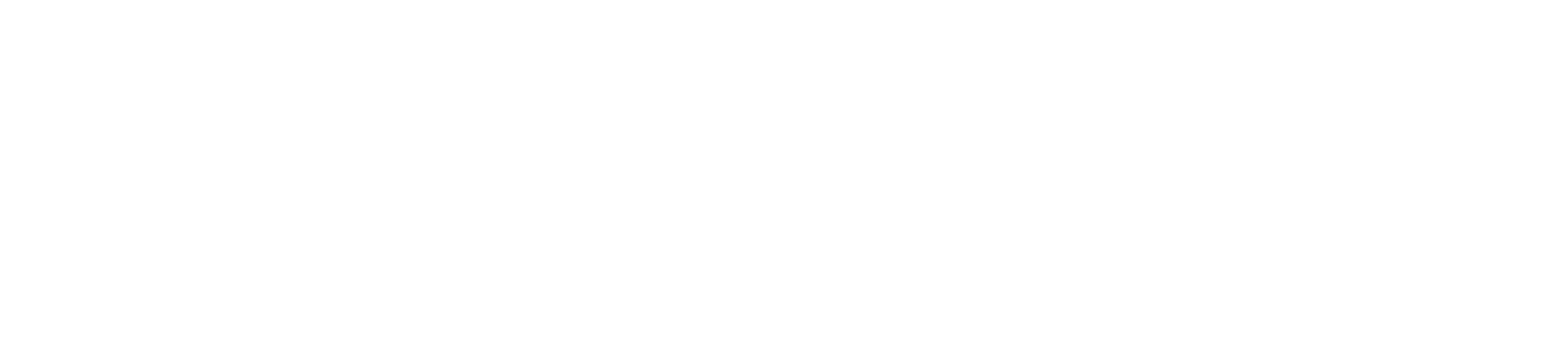 Logo Vietnam Society of Excellence